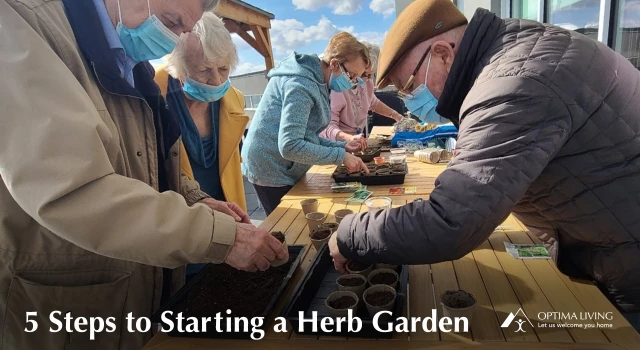 5 Steps to Starting a Herb Garden
